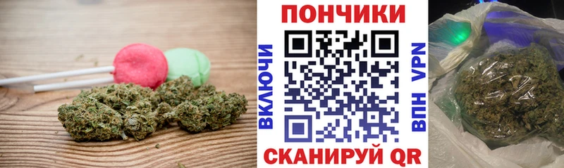 купить наркотик Новомосковск Cannafood конопля