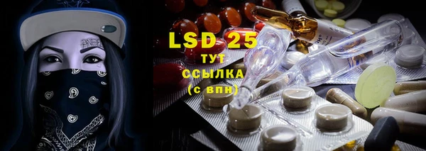ГАЛЛЮЦИНОГЕННЫЕ ГРИБЫ Тавда