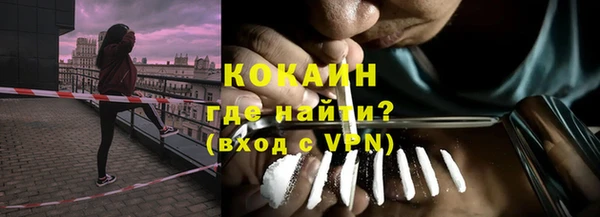 трава Тайга