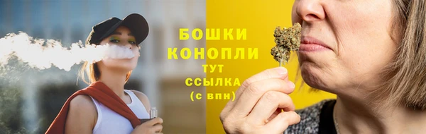 ГАЛЛЮЦИНОГЕННЫЕ ГРИБЫ Тавда