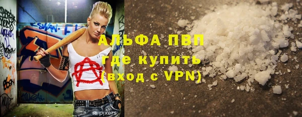 ГАЛЛЮЦИНОГЕННЫЕ ГРИБЫ Тавда