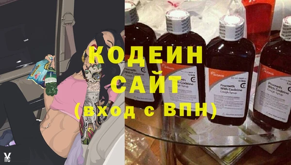 ГАЛЛЮЦИНОГЕННЫЕ ГРИБЫ Тавда