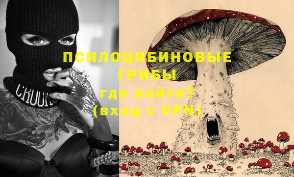 эйфоретик Струнино