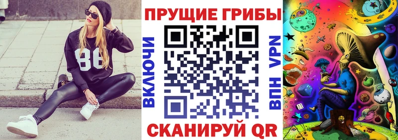 Галлюциногенные грибы прущие грибы  Новомосковск 