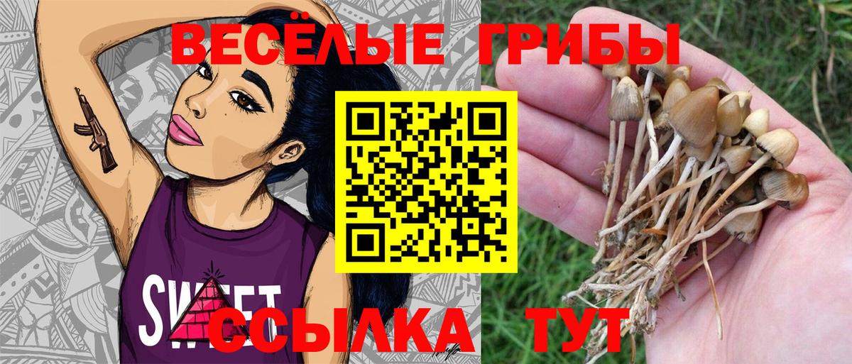 Псилоцибиновые грибы MAGIC MUSHROOMS Новомосковск