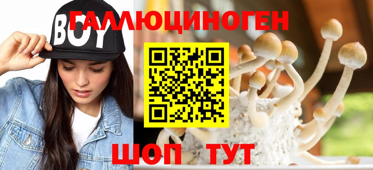 Псилоцибиновые грибы GOLDEN TEACHER  Псилоцибиновые грибы Psilocybe  Новомосковск 