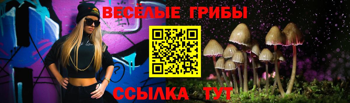 Псилоцибиновые грибы Psilocybe Новомосковск