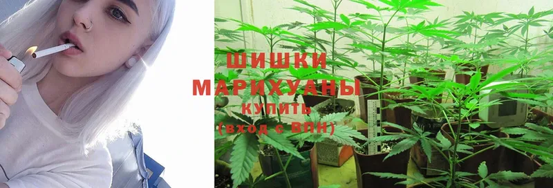 продажа наркотиков  Новомосковск  Марихуана план 