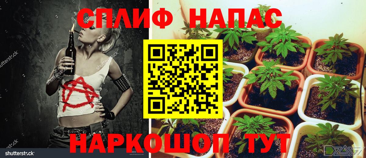 Новомосковск  Марихуана сатива  Канабис SATIVA & INDICA  Вход с VPN 